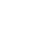 Oleo-Mac SH 250 E